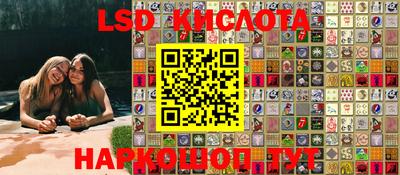 стаф Камышлов