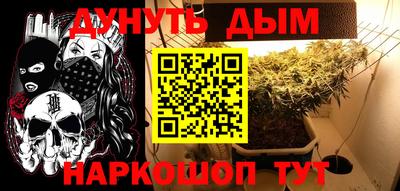стаф Камышлов