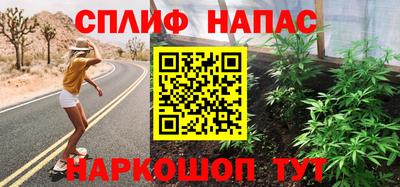 стаф Камышлов
