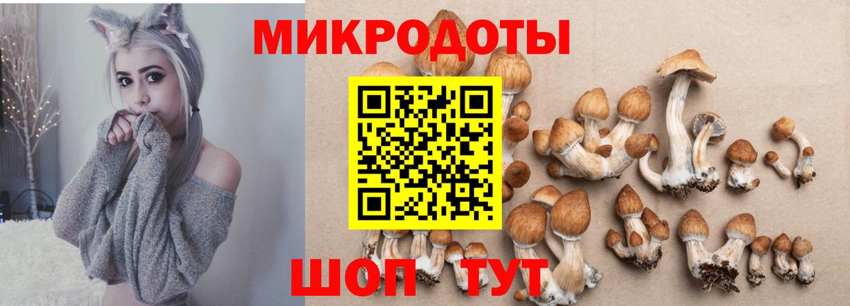 Галлюциногенные грибы Magic Shrooms  Вход с VPN  Красноярск 